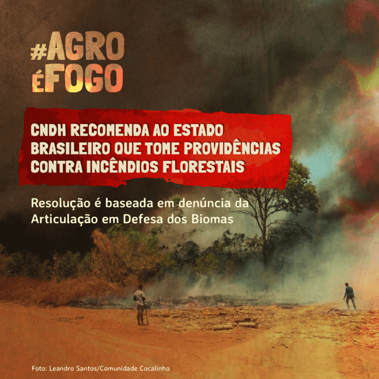 card cndh AGROFOGO 03 768x768 1