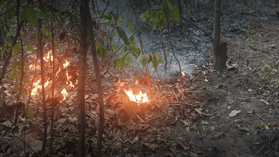 destaque site Campanha 960x540px IncendioGrotao 1